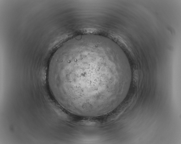 X0000114080545200910191544