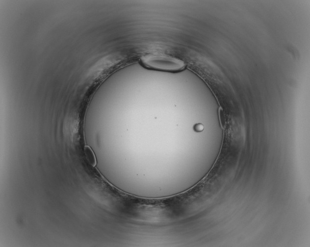 X0000114080548200910191544