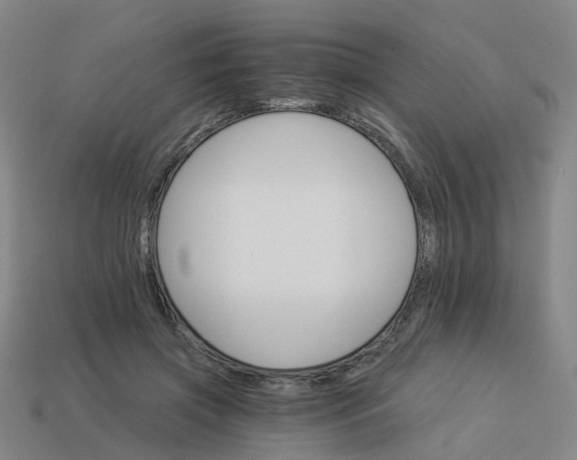 X0000114080549200910191544