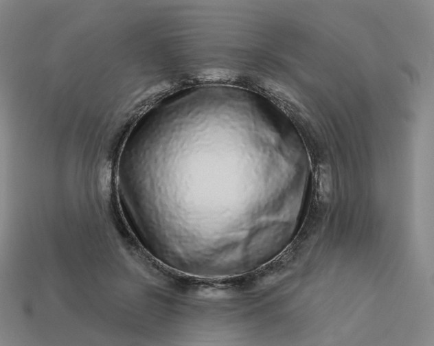 X0000114080550200910191544