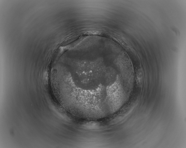 X0000114080551200910191544