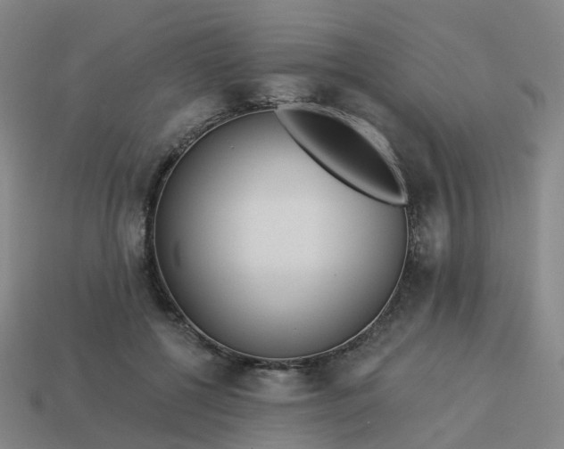 X0000114080552200910191544