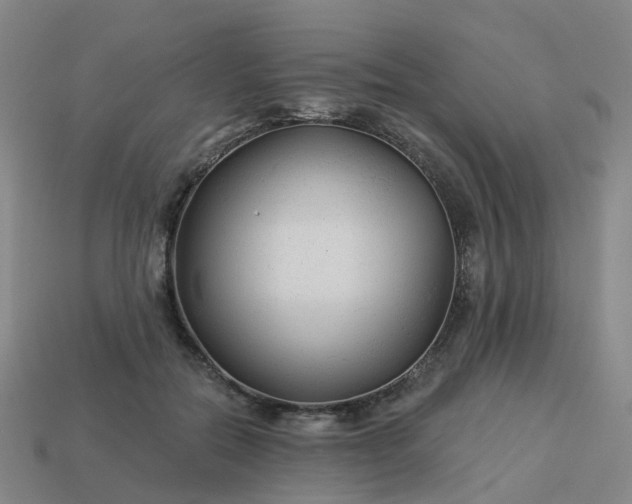 X0000114080554200910191544