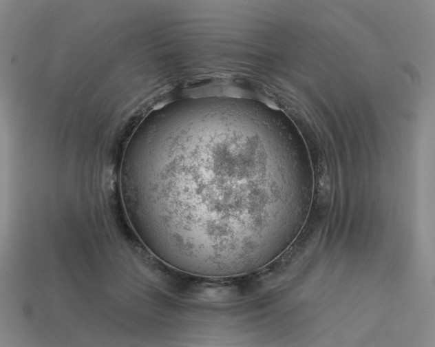 X0000114080555200910191544