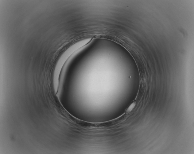 X0000114080556200910191544