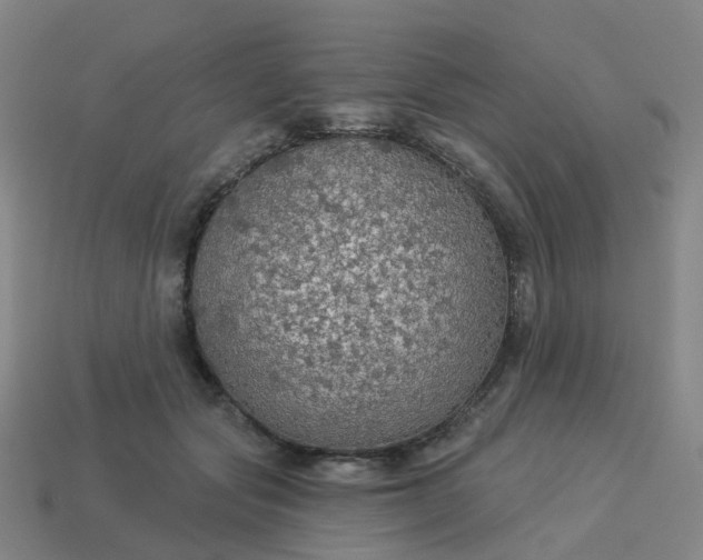 X0000114080557200910191544