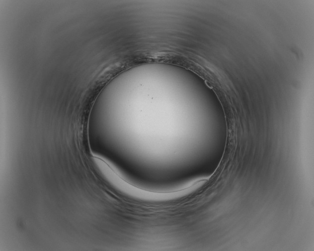 X0000114080558200910191544