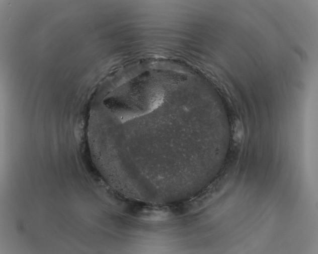 X0000114080559200910191544