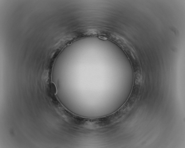 X0000114080560200910191544