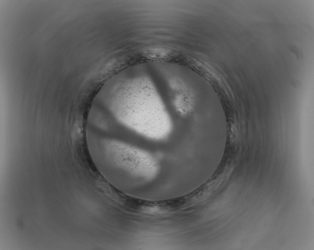 X0000114080561200910191544