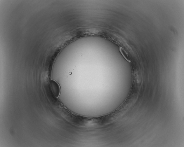 X0000114080564200910191544