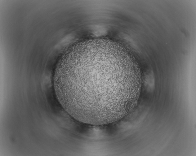 X0000114080565200910191544