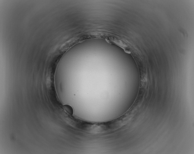 X0000114080566200910191544