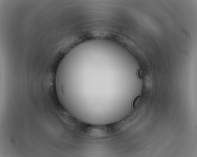 X0000114080567200910191545