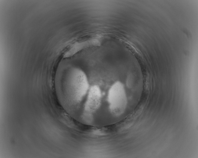 X0000114080569200910191545