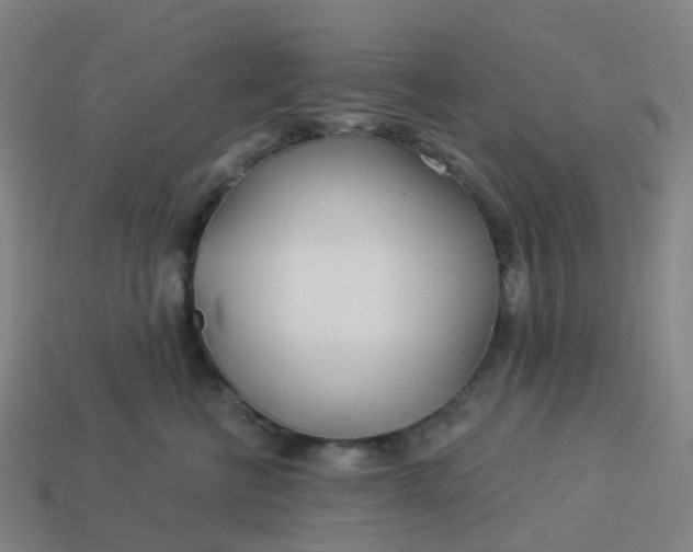 X0000114080570200910191545