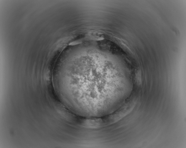 X0000114080571200910191545