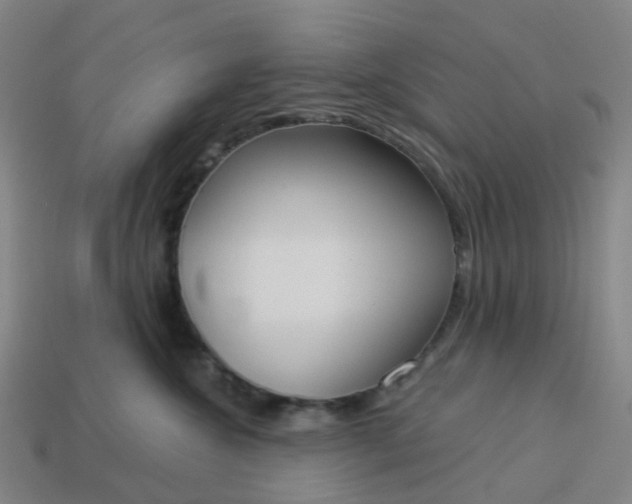 X0000114080572200910191545