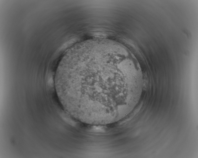 X0000114080573200910191545