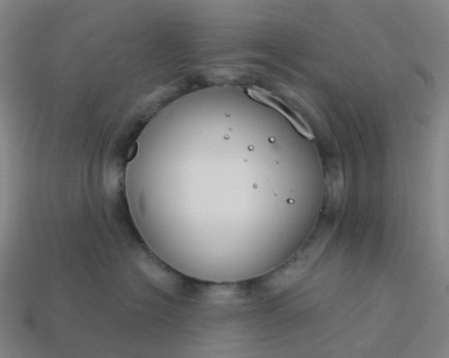 X0000114080574200910191545