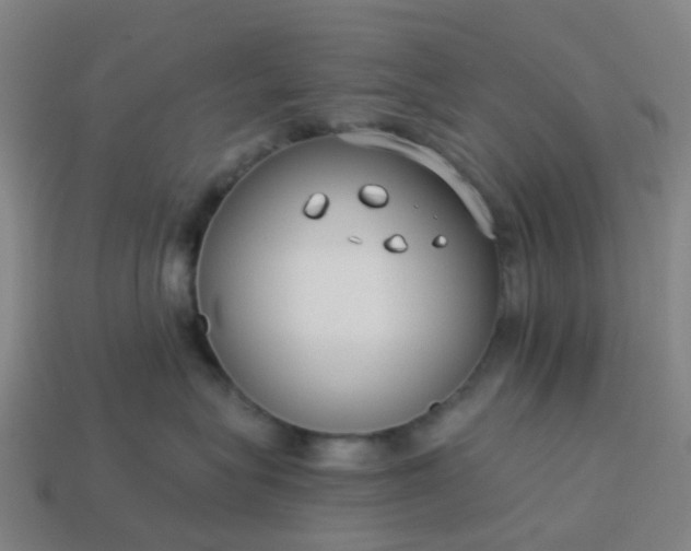 X0000114080575200910191545