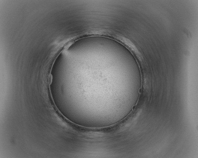 X0000114080577200910191544