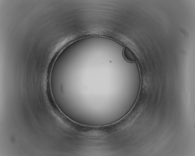 X0000114080578200910191544