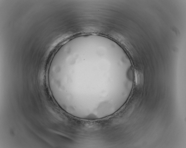 X0000114080579200910191544