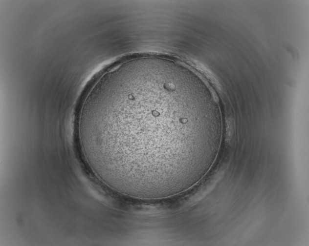 X0000114080580200910191544