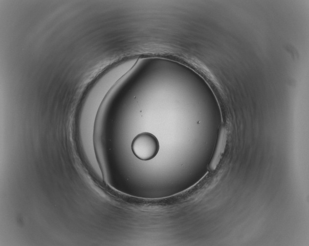 X0000114080581200910191544