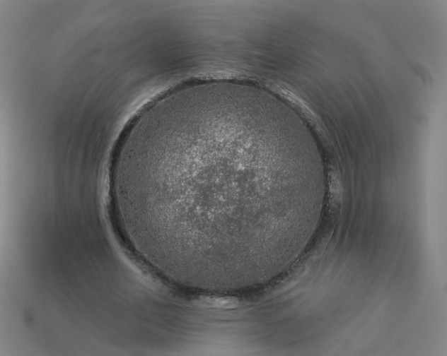 X0000114080582200910191544