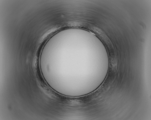 X0000114080583200910191544