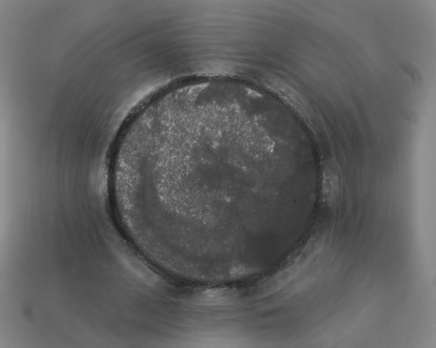 X0000114080584200910191544