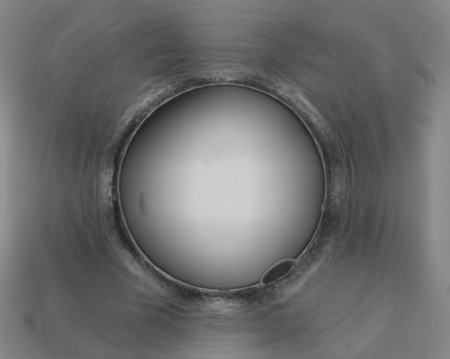 X0000114080585200910191544