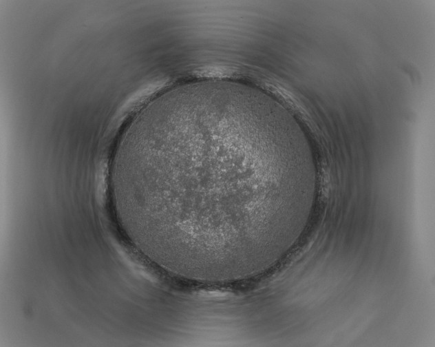 X0000114080586200910191544