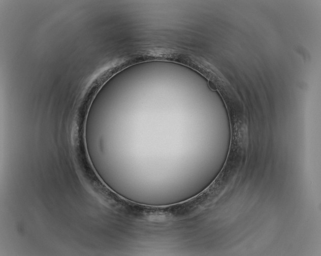 X0000114080587200910191544