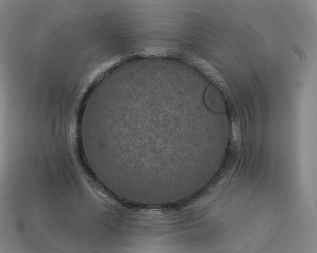 X0000114080588200910191544