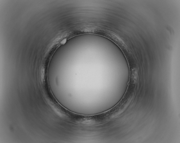 X0000114080589200910191544