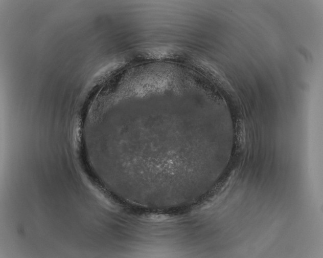 X0000114080590200910191544