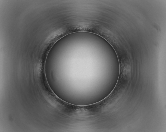 X0000114080591200910191544