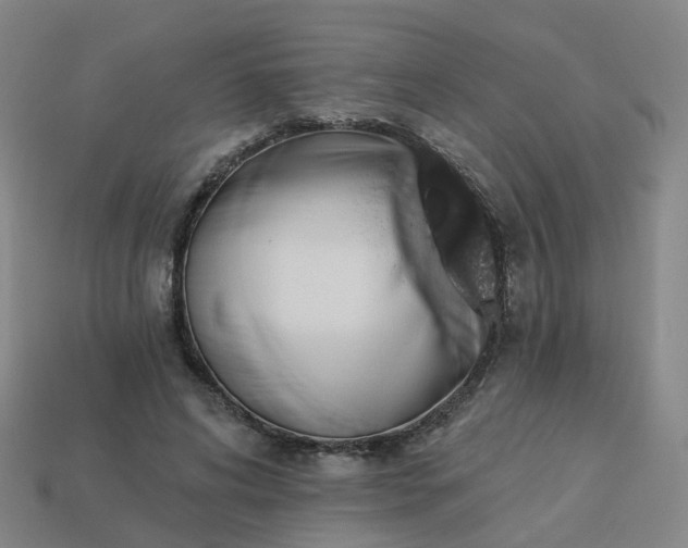 X0000114080592200910191544