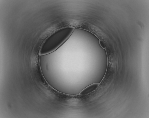 X0000114080593200910191544