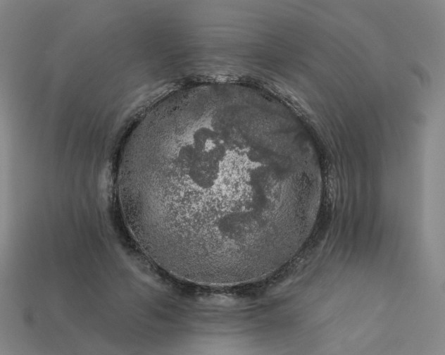 X0000114080594200910191544