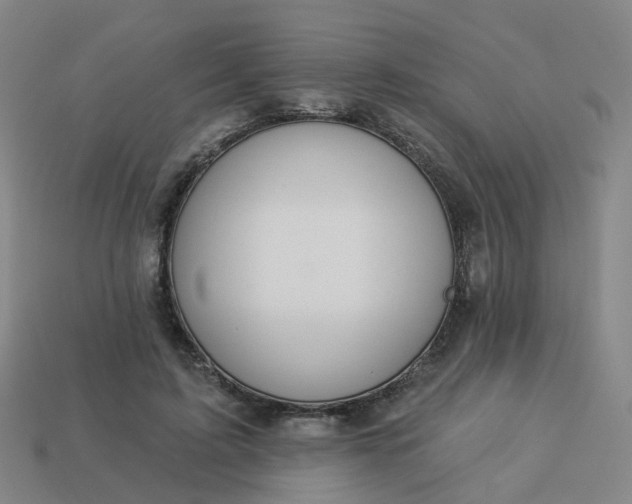 X0000114080595200910191544