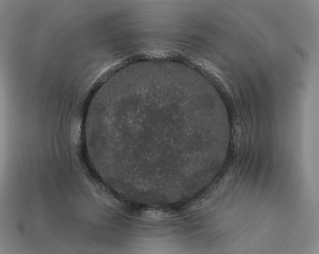 X0000114080596200910191544