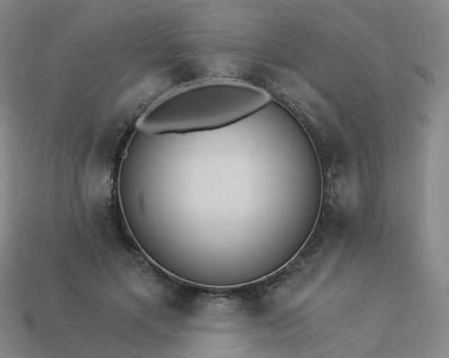 X0000114080597200910191544