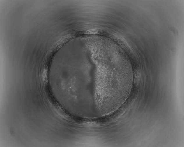 X0000114080598200910191544