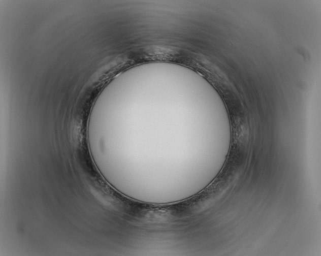 X0000114080599200910191544