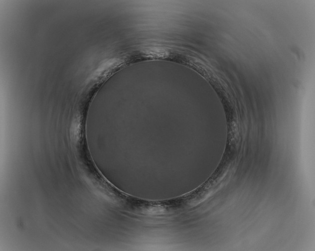 X0000114080600200910191544