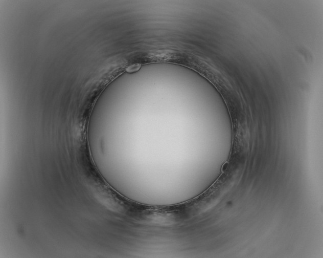 X0000114080601200910191544